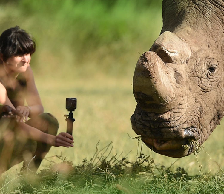 Nikon Ambassador Ami Vitale uses a KeyMission 360 with accessories to film a rhino