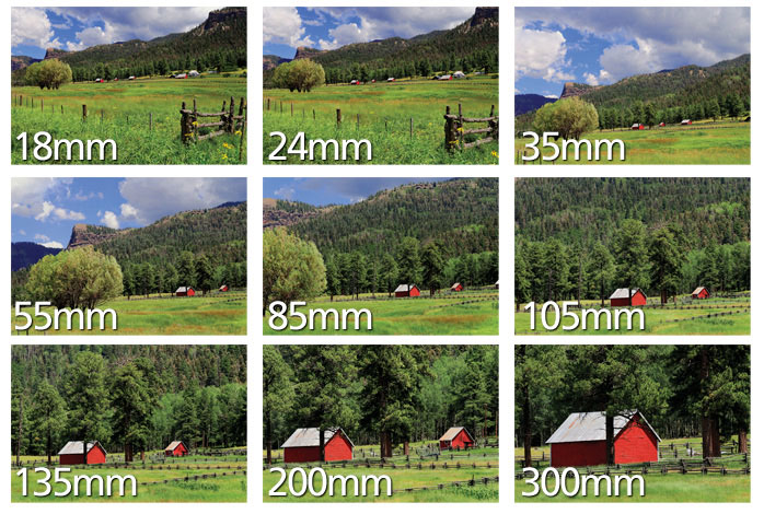 ondersteboven Korting bladeren Focal Length | Understanding Camera Zoom & Lens Focal Length | Nikon | Nikon