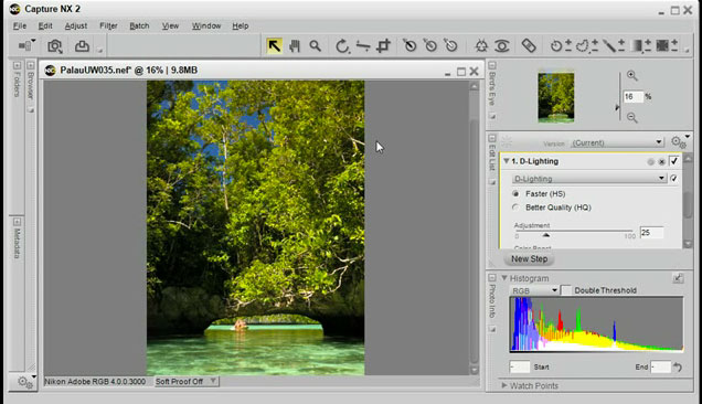 Capture NX 2 Tutorial: D-Lighting | Nikon