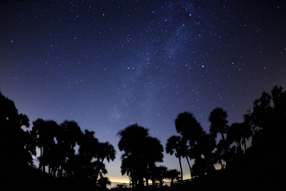 night sky stars