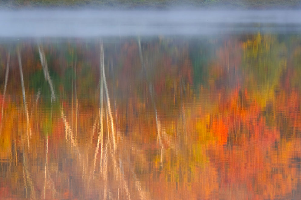 Rod Planck photo the reflection of autumn leaves on trees in a body of water