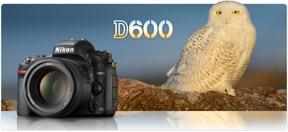 Nikon D600