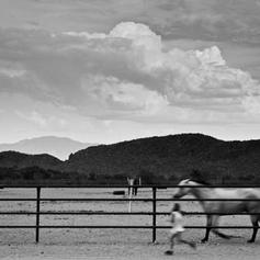 Intensive: Black-and-White Photography Using Photoshop