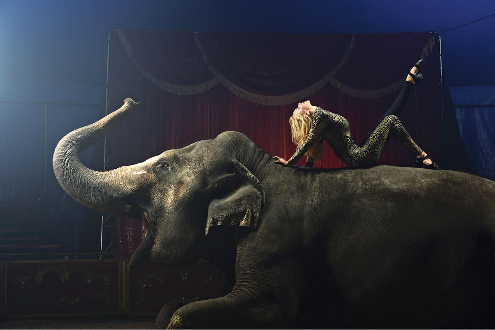 Joe McNally photo of female dancer on an elephant's back