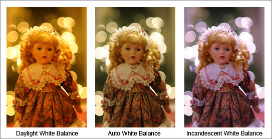 Lindsay Silverman trio of photos of a doll with different color flash points.