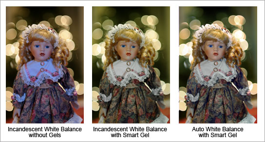 Lindsay Silverman trio of photos of three dolls with different color flash points.