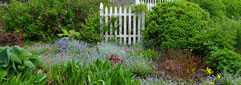 How To Grow Your Garden Photography Skills