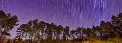 Photographing the Night Sky: Star Trails