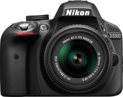D3300