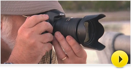 best camera lenses nikon on Camera Lenses | Nikon Digital Camera Lenses | NIKKOR Lens Optics