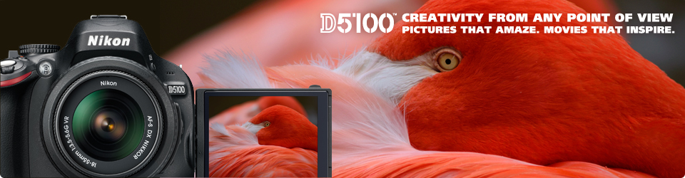 D5100 Digital SLR