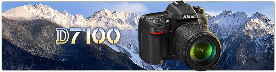 Nikon D7100