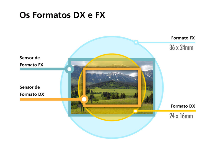 diagrama mostrando os cortes de tamanho do sensor de imagem fx e dx em uma imagem de grama, árvores e montanhas