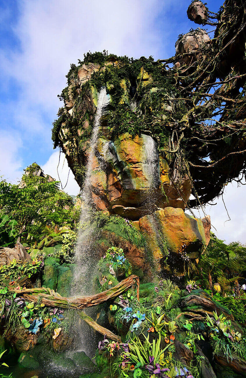 Disney's Animal Kingdom Park Photography Tips from Nikon