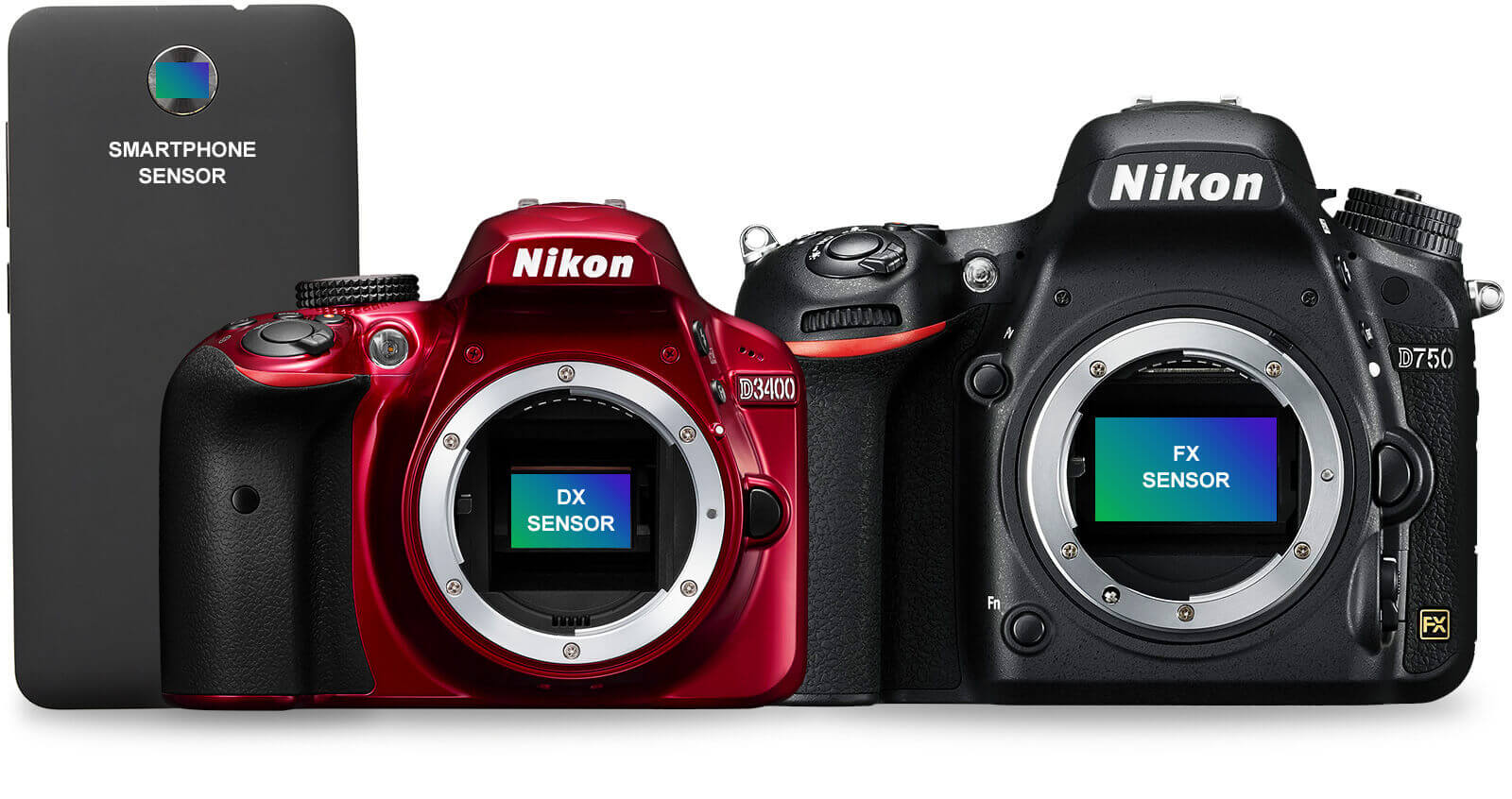 Nikon Digital Camera Comparison Chart