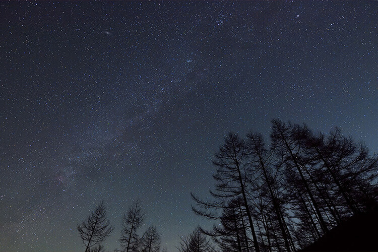 Photo of the night sky with trees and hills silhouetted in the foreground