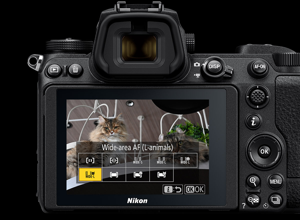 fastrawviewer nikon z6