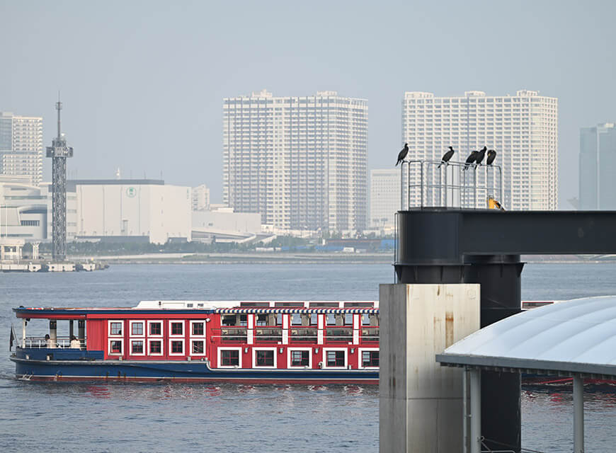 View of city and boat