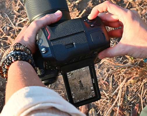 Photo of the Z 9 in a photographer's hands with an image on the LCD screen