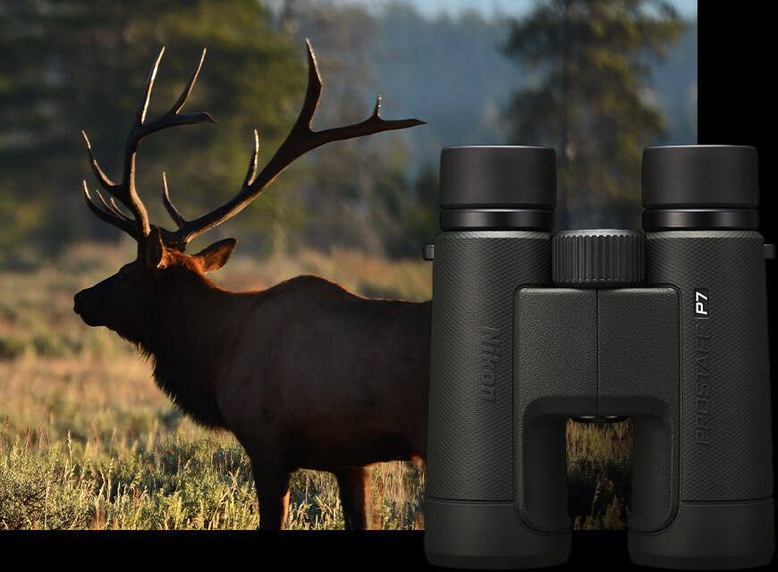 Binoculars for Hiking, Bird Watching, Astronomy & More Nikon
