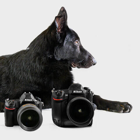nikon