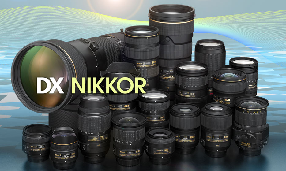 Nikon DX Lenses | DX Lenses | Nikon