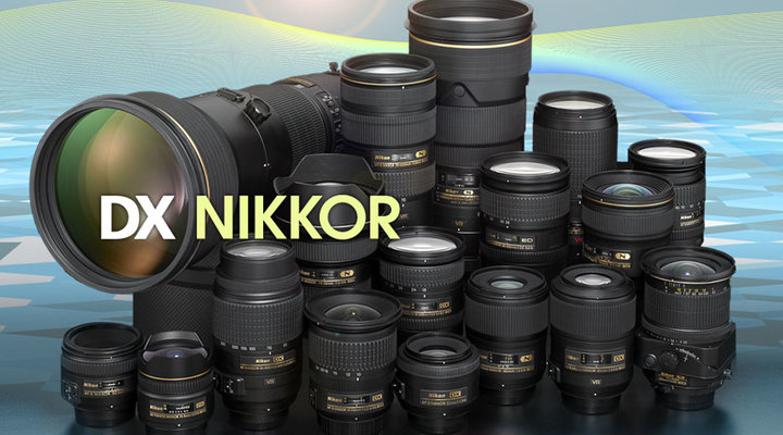 Groene achtergrond daar ben ik het mee eens werk DX vs. FX Format - Lens & Camera Comparison | Nikon | Nikon