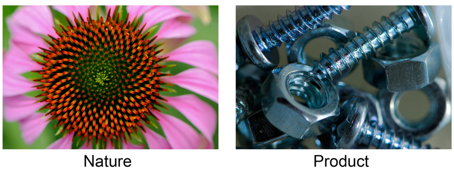 Lindsay Silverman pics of macro flower and nuts and bolts