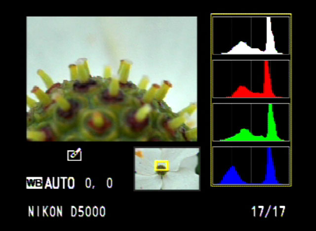 view rgb histogram in nikon camera control pro 2