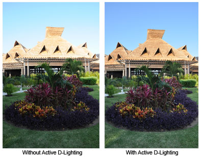 Balancing Photo Exposures with Nikon's Active D-Lighting