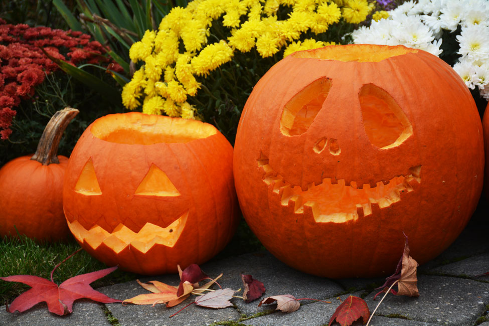 Halloween & Fall Pumpkin Patch Photography Tips | Nikon