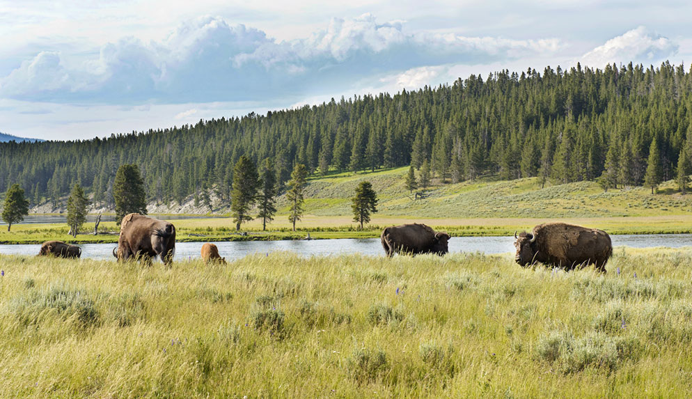 For Memorable Family Vacation Photos, Focus First on Family | Nikon