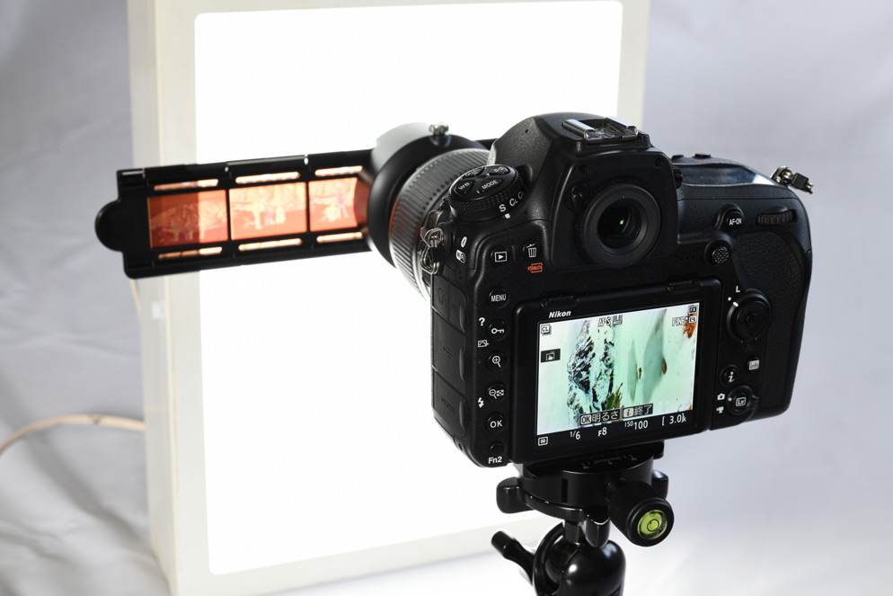 Generelt sagt Skygge sikkerhed Digitizing Film Using the D850 and ES-2 Negative Digitizer | Nikon