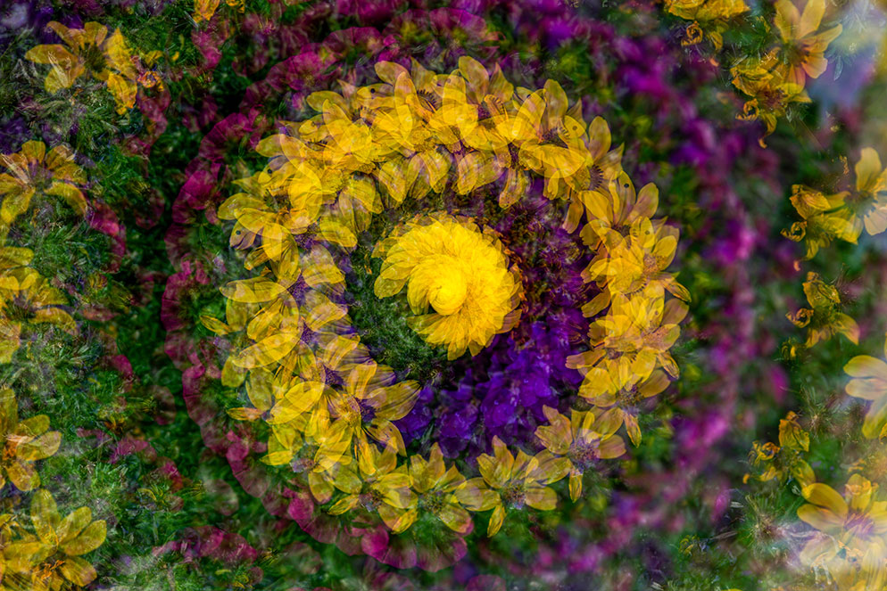 Multiple Exposures Creative InCamera Techniques Nikon