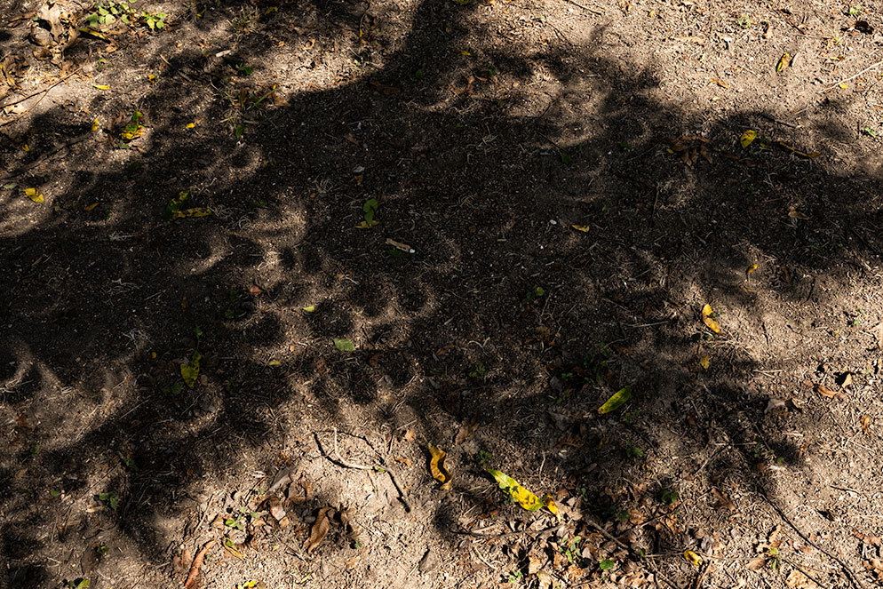 Photographing an Annular Solar Eclipse | Nikon