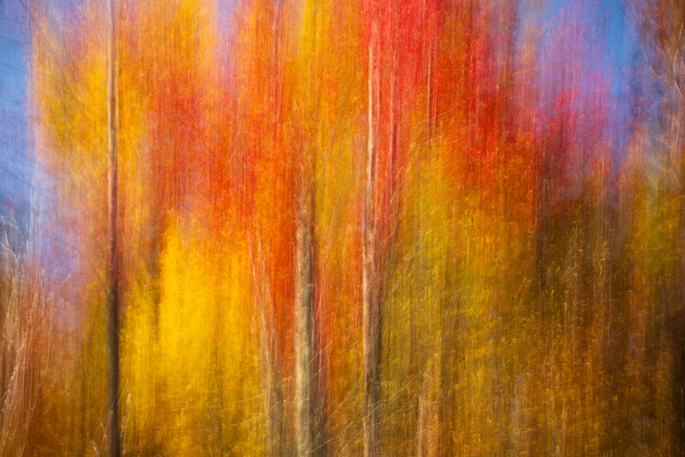 Autumn Impressions: Tips for Photographing Fall Color | Nikon